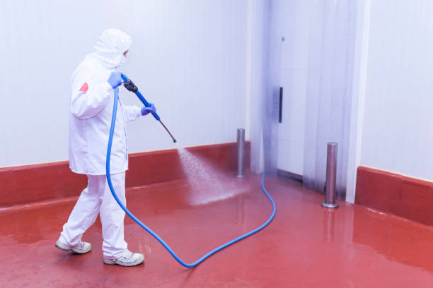Best Paint Preparation  in Elizabeth, NJ